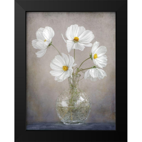 Simply Cosmos Black Modern Wood Framed Art Print by Disher, Mandy