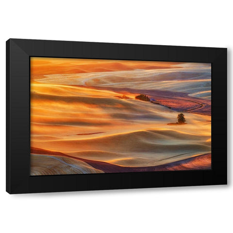 Golden Palouse Black Modern Wood Framed Art Print with Double Matting by Jacobs, Lydia
