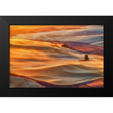 Golden Palouse Black Modern Wood Framed Art Print by Jacobs, Lydia
