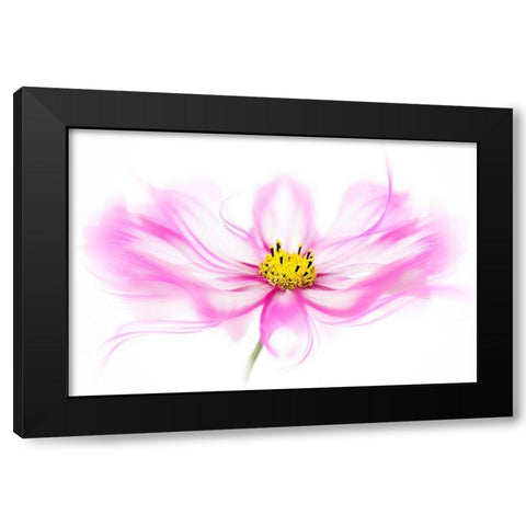 Breeze Black Modern Wood Framed Art Print with Double Matting by Parker, Jacky