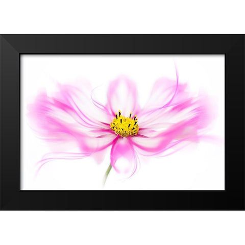 Breeze Black Modern Wood Framed Art Print by Parker, Jacky