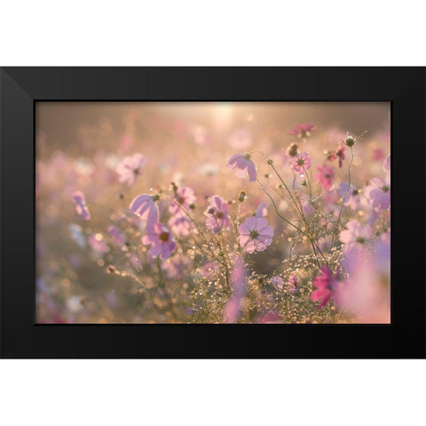Untitled Black Modern Wood Framed Art Print by Koumura, Miyako