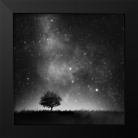 Not So Alone Black Modern Wood Framed Art Print by Del Grosso, Sebastien