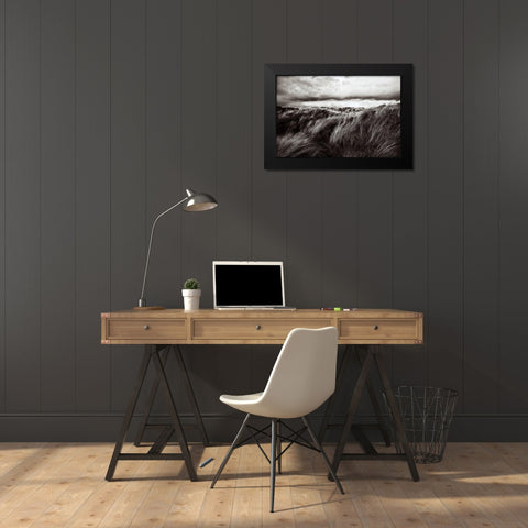Dunes Of Grass Black Modern Wood Framed Art Print by Paul