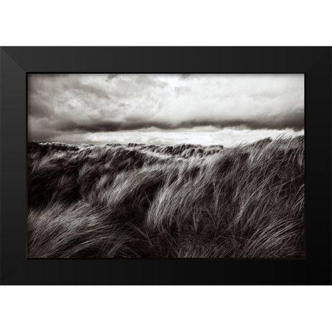 Dunes Of Grass Black Modern Wood Framed Art Print by Paul
