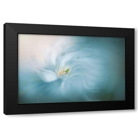 Serene Black Modern Wood Framed Art Print by Parker, Jacky