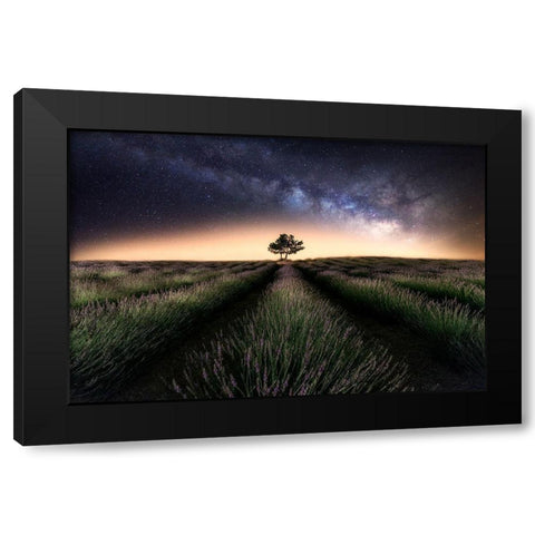 Lavender Way Black Modern Wood Framed Art Print with Double Matting by Ferrero, Ivan