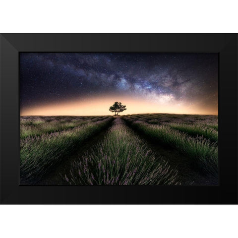 Lavender Way Black Modern Wood Framed Art Print by Ferrero, Ivan