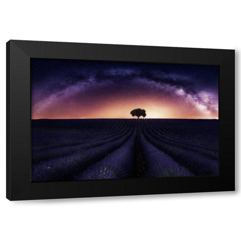 My Lavander Black Modern Wood Framed Art Print with Double Matting by Ruiz Dueso, Jorge
