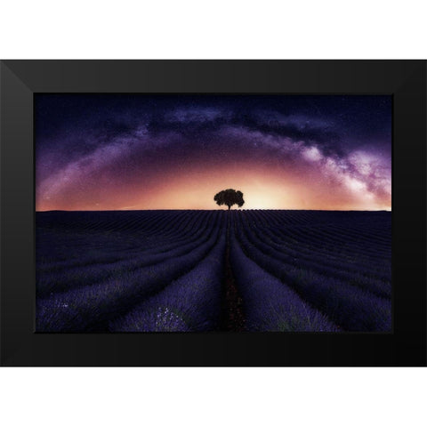 My Lavander Black Modern Wood Framed Art Print by Ruiz Dueso, Jorge