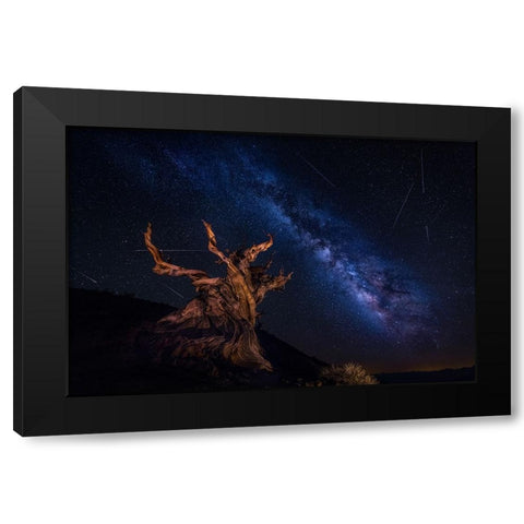 Shooting Stars Night Black Modern Wood Framed Art Print with Double Matting by Zheng, Michael