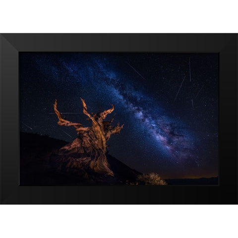 Shooting Stars Night Black Modern Wood Framed Art Print by Zheng, Michael