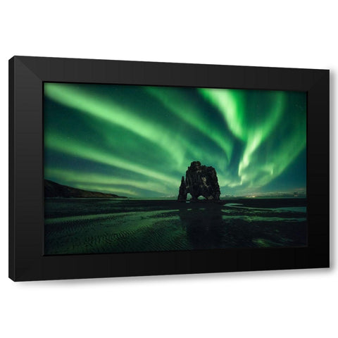 Rhino Black Modern Wood Framed Art Print by Martin Castan, David