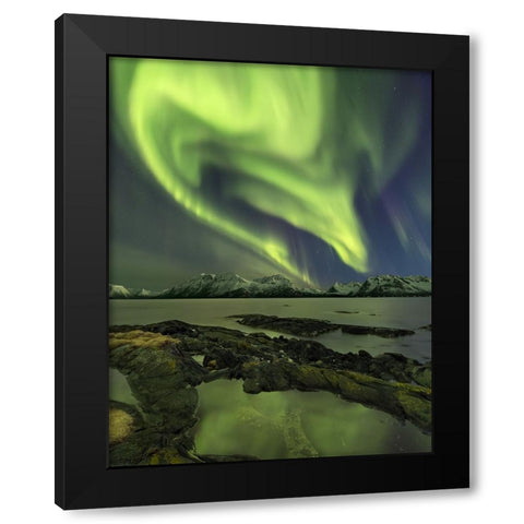 The Aliensaas Head Black Modern Wood Framed Art Print by Smid Master, Jan