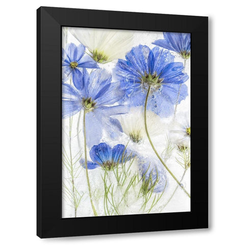 Cosmos Blue Black Modern Wood Framed Art Print by Disher, Mandy