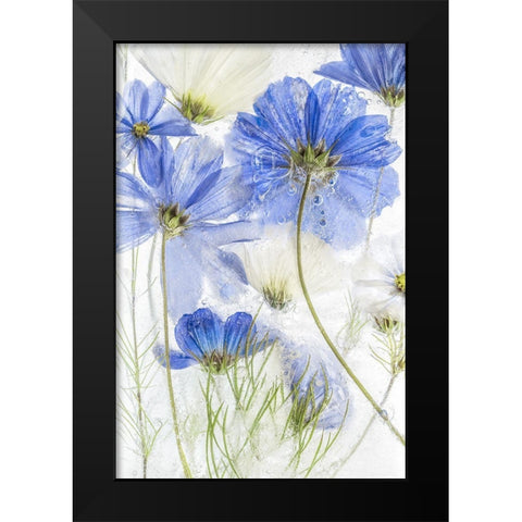 Cosmos Blue Black Modern Wood Framed Art Print by Disher, Mandy