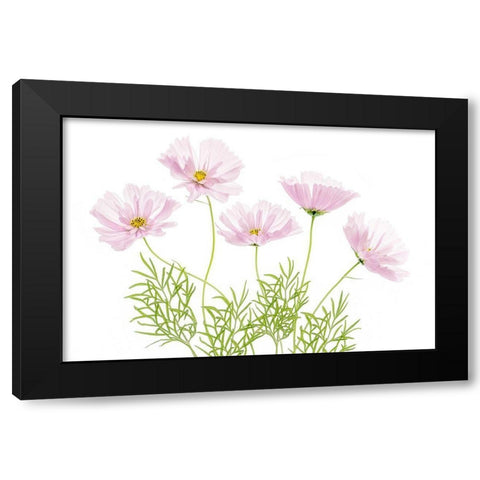 Cosmos Cupcake Black Modern Wood Framed Art Print by Disher, Mandy