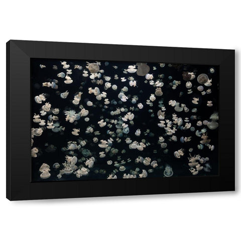 Just Some Jellies Black Modern Wood Framed Art Print by Graf, Sebastian