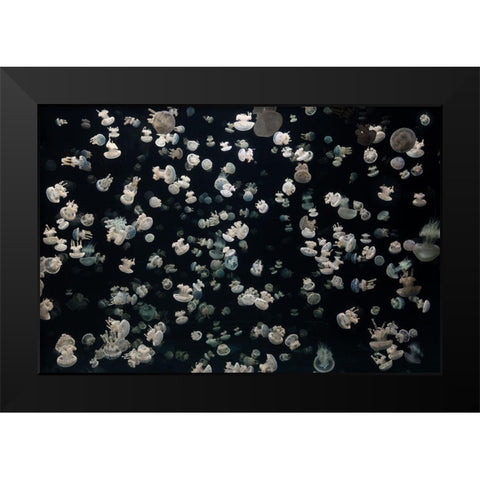 Just Some Jellies Black Modern Wood Framed Art Print by Graf, Sebastian