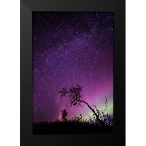 Under The Stars - 1 Black Modern Wood Framed Art Print by Ifrim, Sorin
