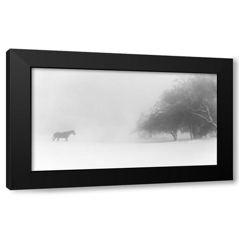 Lone Horse Black Modern Wood Framed Art Print by Eliash, Tomer
