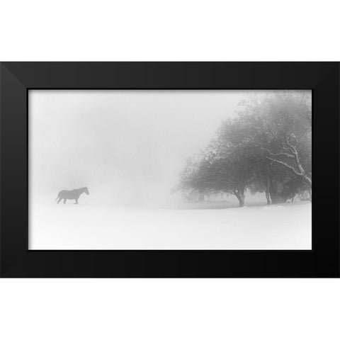 Lone Horse Black Modern Wood Framed Art Print by Eliash, Tomer