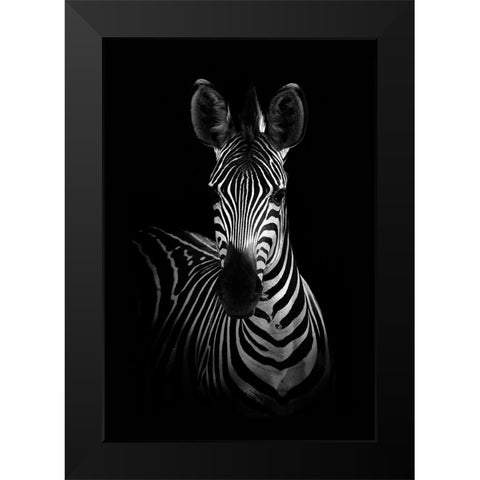 The Zebra Black Modern Wood Framed Art Print by WildPhotoArt