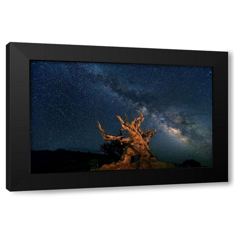 The Galaxy And Ancient Bristlecone Pine Black Modern Wood Framed Art Print by Hua