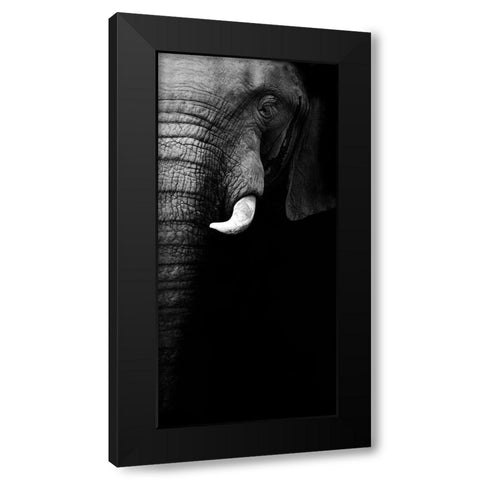 Elephant Portrait Black Modern Wood Framed Art Print with Double Matting by Wildphotoart