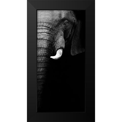 Elephant Portrait Black Modern Wood Framed Art Print by Wildphotoart