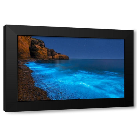 Bioluminescent Bay Black Modern Wood Framed Art Print by Zhu, Hua