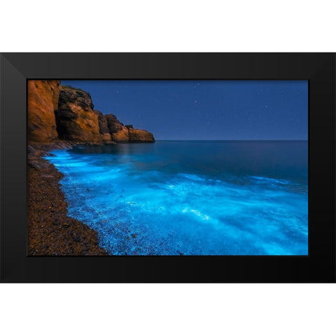 Bioluminescent Bay Black Modern Wood Framed Art Print by Zhu, Hua