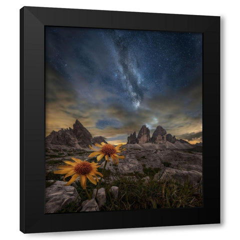 Even The Flowers Seem To Be Fascinated By The Stars Black Modern Wood Framed Art Print by Ghizzi Panizza, Alberto