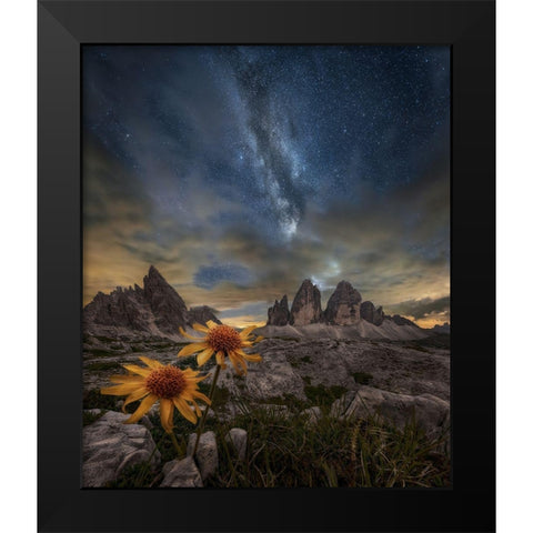 Even The Flowers Seem To Be Fascinated By The Stars Black Modern Wood Framed Art Print by Ghizzi Panizza, Alberto