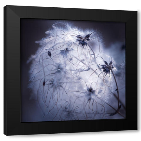 Network Black Modern Wood Framed Art Print by Menhard, Ingo