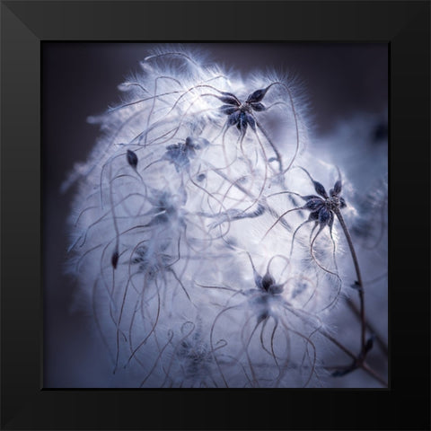 Network Black Modern Wood Framed Art Print by Menhard, Ingo