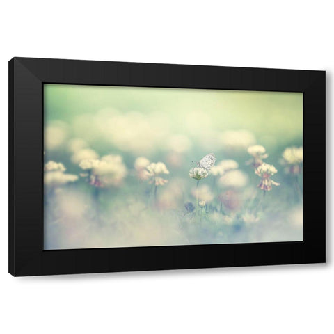 Small World Black Modern Wood Framed Art Print by Suzuki, Takashi