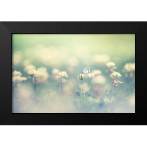 Small World Black Modern Wood Framed Art Print by Suzuki, Takashi