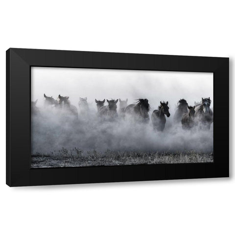 Mustangs Black Modern Wood Framed Art Print with Double Matting by Pancareken, Yavuz