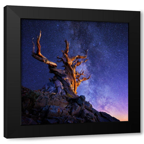 The Ancient Tree Black Modern Wood Framed Art Print by Suradji, Surjanto