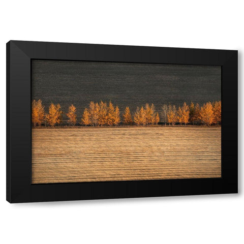 Autumn Colors Black Modern Wood Framed Art Print with Double Matting by Tianqi