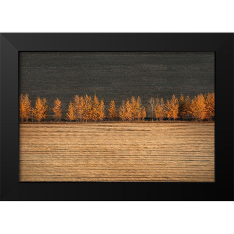 Autumn Colors Black Modern Wood Framed Art Print by Tianqi