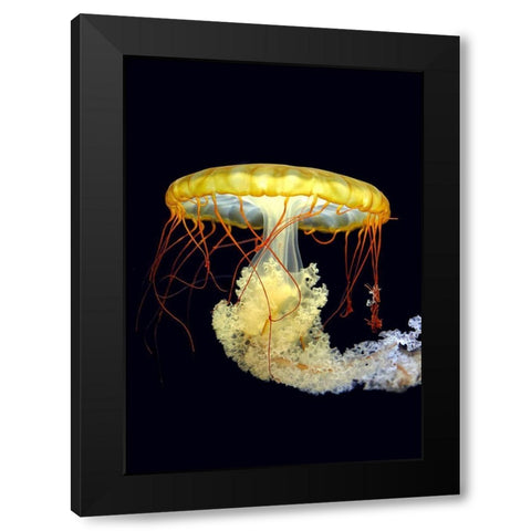 *** Black Modern Wood Framed Art Print with Double Matting by Fyb