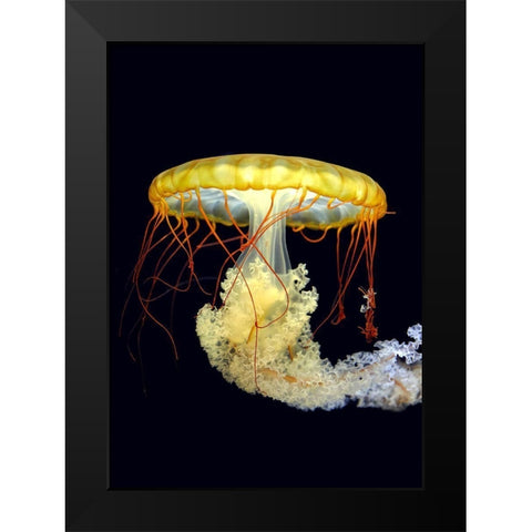 *** Black Modern Wood Framed Art Print by Fyb
