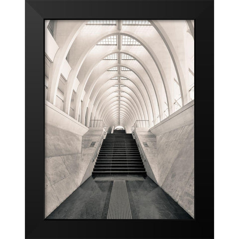 Inside Calatrava Black Modern Wood Framed Art Print by Lopez, Oscar