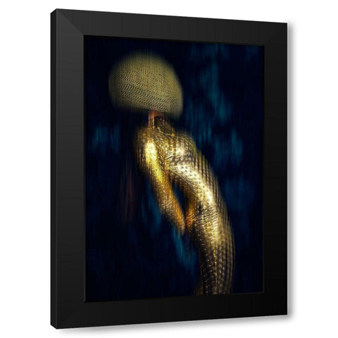Anti-Gravity Black Modern Wood Framed Art Print by Bolgov, Ruslan