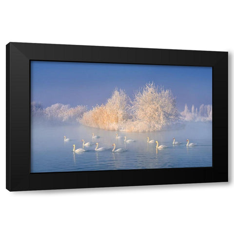 Swan Lake Black Modern Wood Framed Art Print by Zhu, Hua