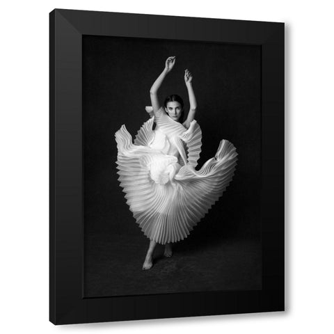 Swan Lake Black Modern Wood Framed Art Print with Double Matting by Naderi, Peyman