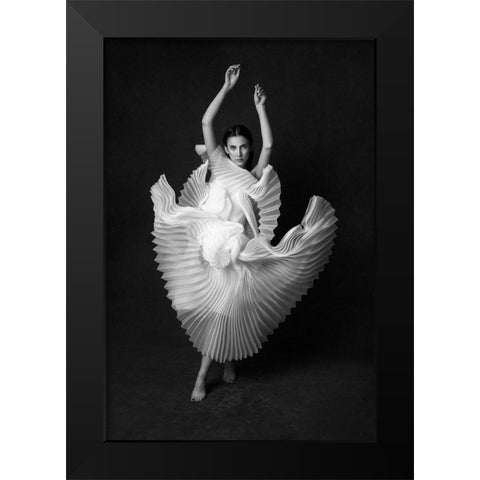 Swan Lake Black Modern Wood Framed Art Print by Naderi, Peyman
