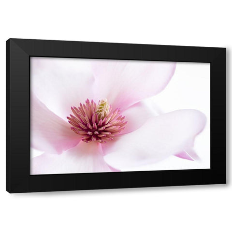 Freshness Black Modern Wood Framed Art Print with Double Matting by Karpova, Inna